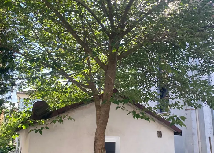 Casa Elisa 8