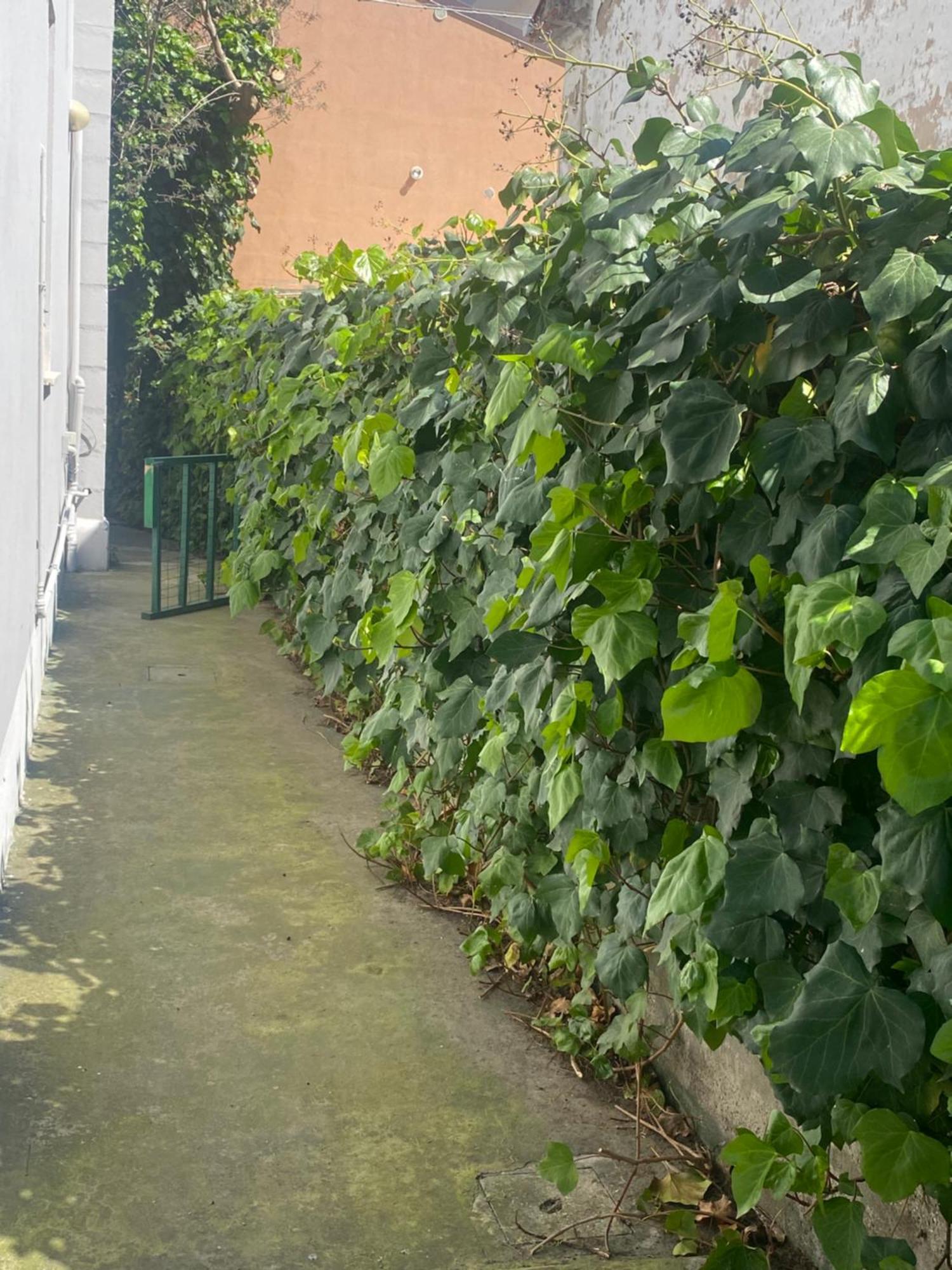 Casa Elisa 8